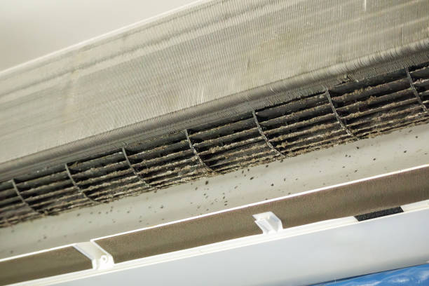 Best Affordable Duct Cleaning Services  in Plains, KS